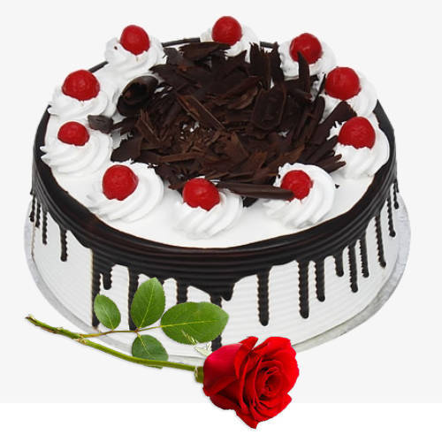 Lovely Red Rose with Eggless Black Forest Cake