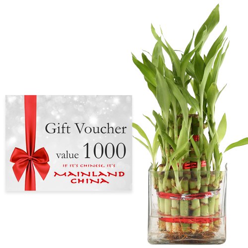 Exclusive Combo of Mainland China Gift Voucher worth Rs.1000 and Lucky Bamboo Plant in Bowl