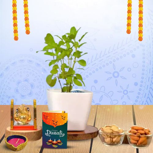 Diwalis Divine Gift Assortment