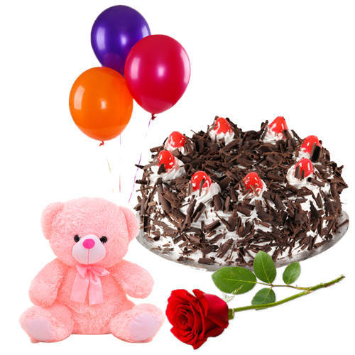 Special Rose with Black Forest Cake Teddy and Balloons