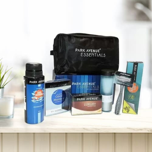 Exclusive Park Avenue Mens Essential Kit