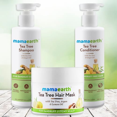 Exquisite Mamaearth Tea Tree Anti Hair Freez Spa Kit
