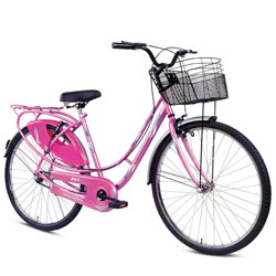 Effervescent BSA Ladybird Splash Bicycle<br>
