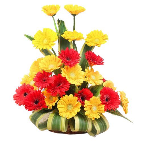 Vibrant Gerberas Arrangement