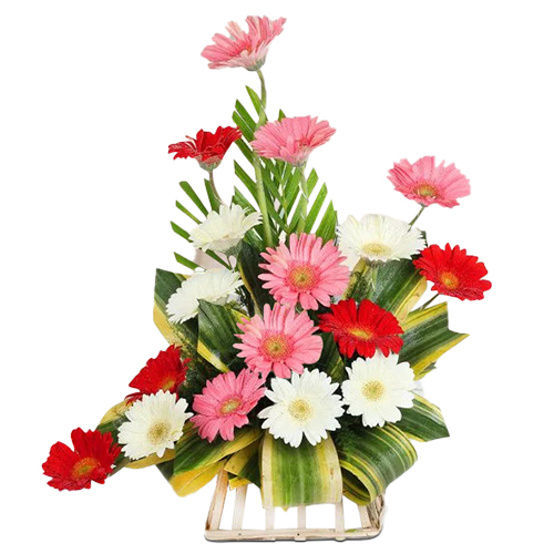 Heavenly 7 Gerberas of Designer Arrangement with Festive of Joy