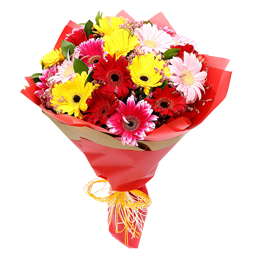 Special Collection of Mixed Gerberas