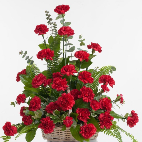 Delightful Red Carnations Arrangement