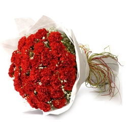 Good Looking Bouquet of Red Carnations