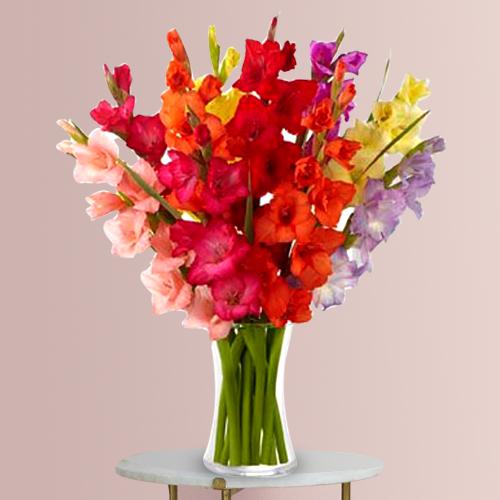 Amazing Assorted Gladiolus in a Glass Vase