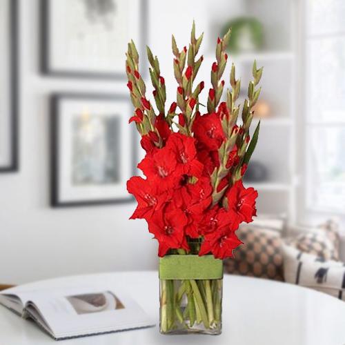 Mesmerizing Red Gladiolus in a Glass Vase