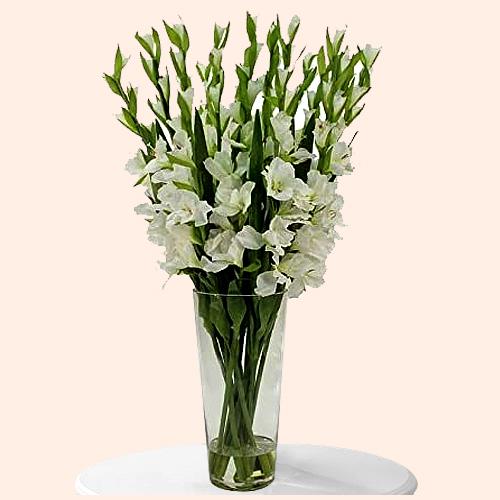 Mesmerizing White Gladiolus in a Glass Vase