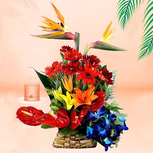 Overwhelming Basket of Bright Color Flowers