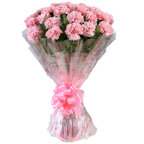 Glorious Bouquet of Pink Carnations