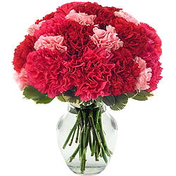 Vibrant Red N Pink Carnations in Glass Vase