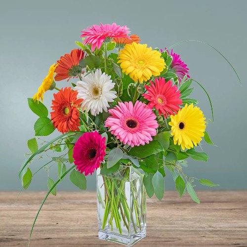 Impressive Multicolored Gerberas in Glass Vase