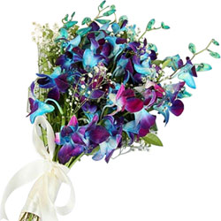 Beautiful Bouquet of Blue Orchids