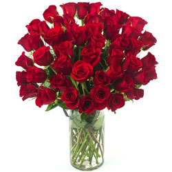 Dark Red Roses Arranged in Glass Vase