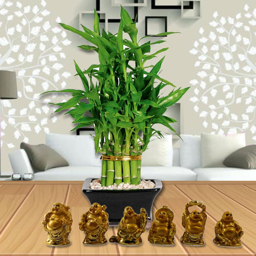Elegant Moms Day Gift of 2 Tier Bamboo Plant N Laughing Buddha Set