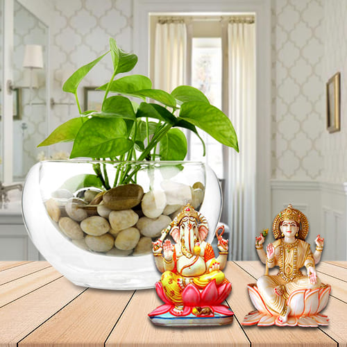 Festive Gift of Holy Lakshmi Ganesh Murti with Green Money Plant