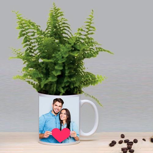 Decorative Gift of Bostern Fern Plant in a Coffee Mug