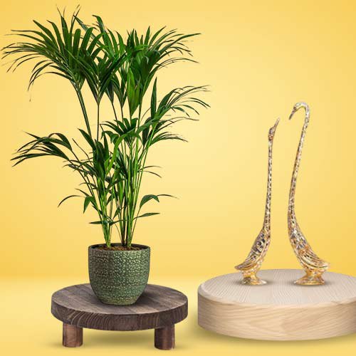 Aesthetic Combo of Kentia Palm Plant N Decorative Love Birds Figurine