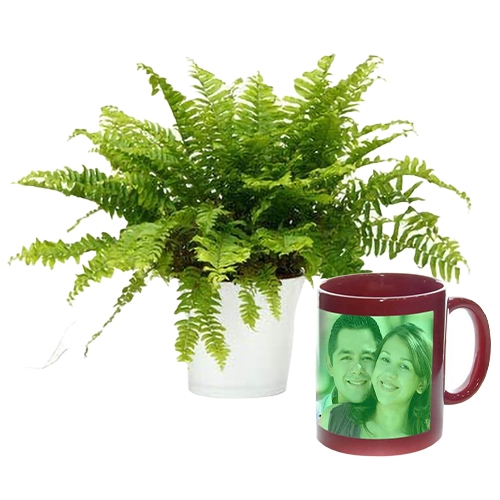 Wonderful Fern Plant N Personalized Radium Mug Combo