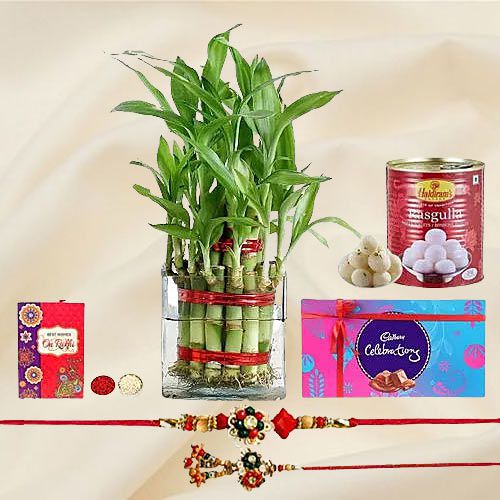 Graceful 2 Tier Bamboo Plant N Bhaiya Bhabhi Rakhi Set