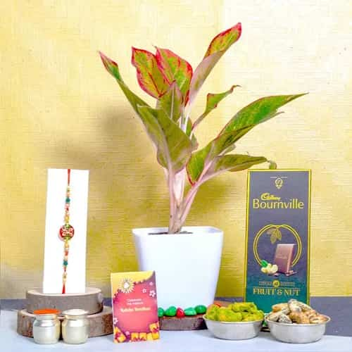 Kundan Rakhi Mouthfuls with Aglaonema Plant