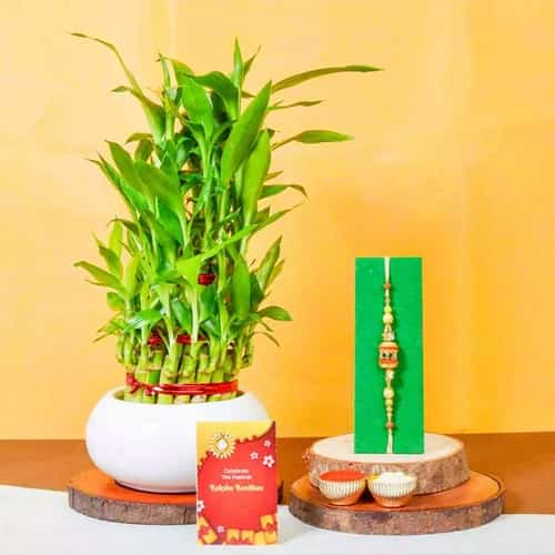 3 Tier Lucky Bamboo N AD Stone Rakhi