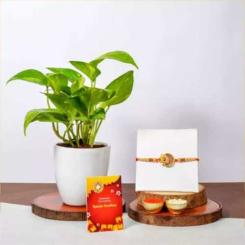 Divine Ganesh Rakhi N Potted Money Plant