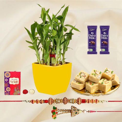 Attractive Bhaiya Bhabhi Rakhi N 2 Tier Bamboo Plant