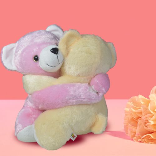 Sweet Hugging Teddy Gift