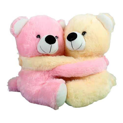 Delightful Pair of Teddies with Essence of Romance