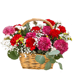 Dazzling 30 Varied Carnations in a Fabulous Arrangement
